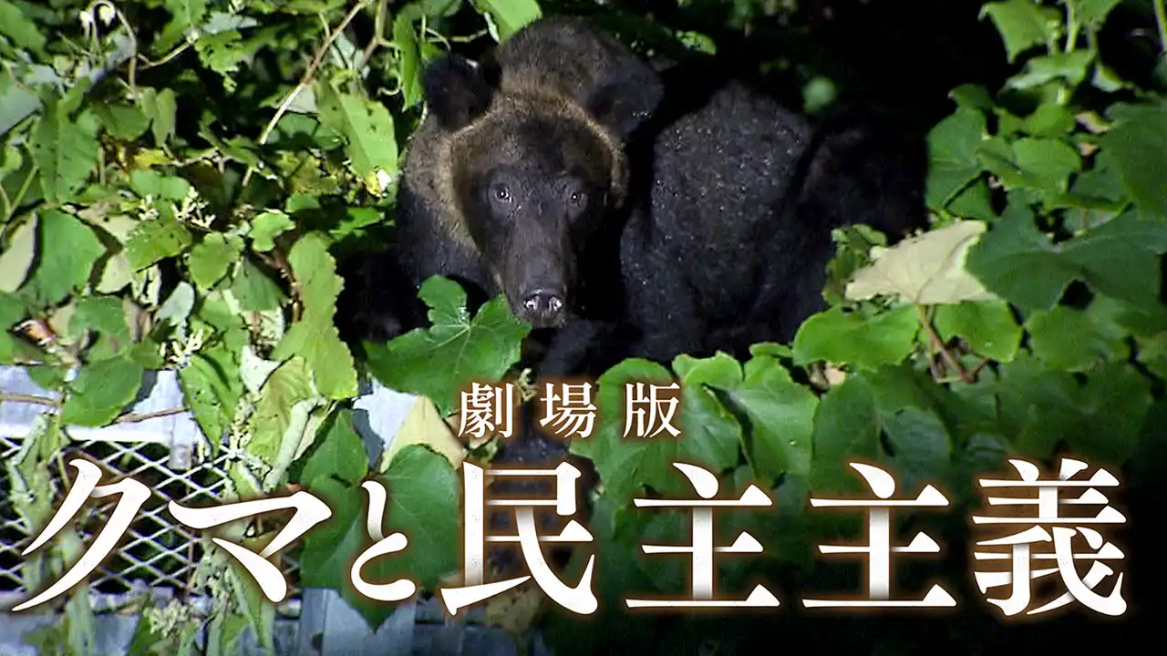 「劇場版 クマと民主主義」イメージ画像