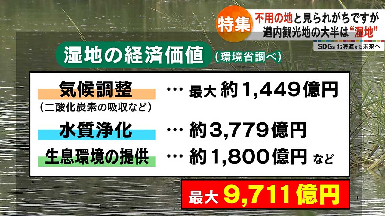 湿地の経済価値について