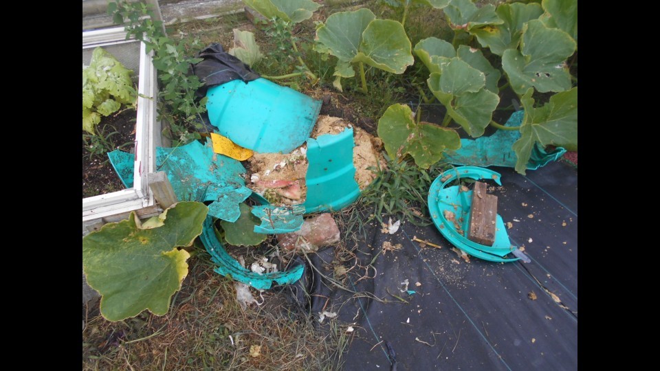 荒らされたコンポスト(北海道上ノ国町 北海道警提供)