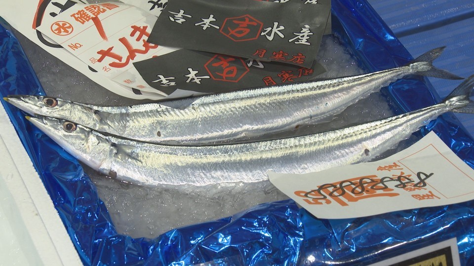 1キロ88万8888円の値がついたサンマ(11日朝 札幌市中央卸売市場)