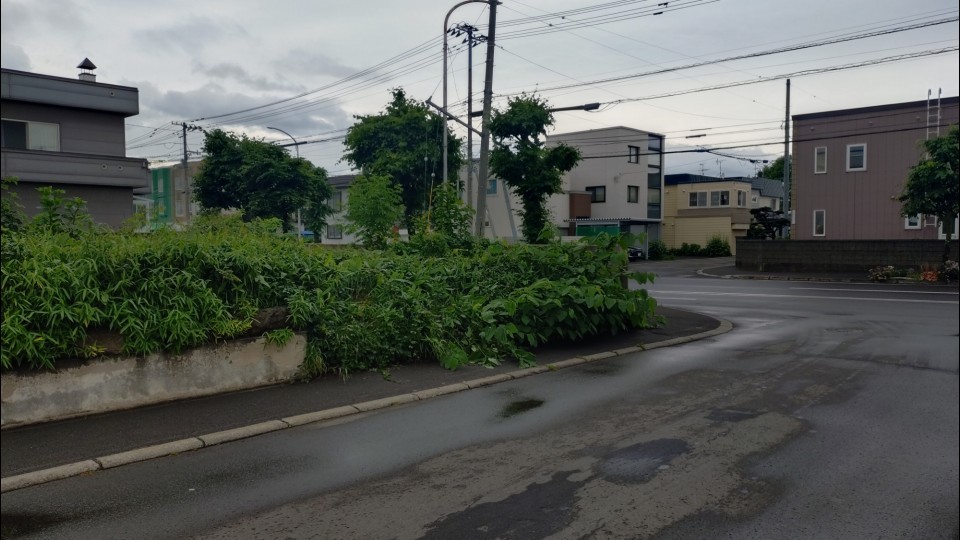 遺体が見つかった草むら