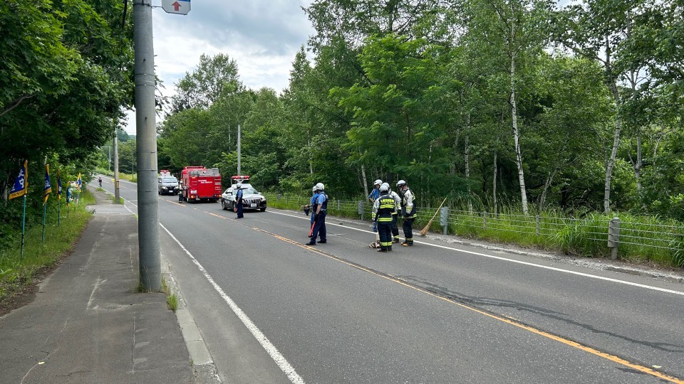 事故があった札幌市南区真駒内の道道341号線