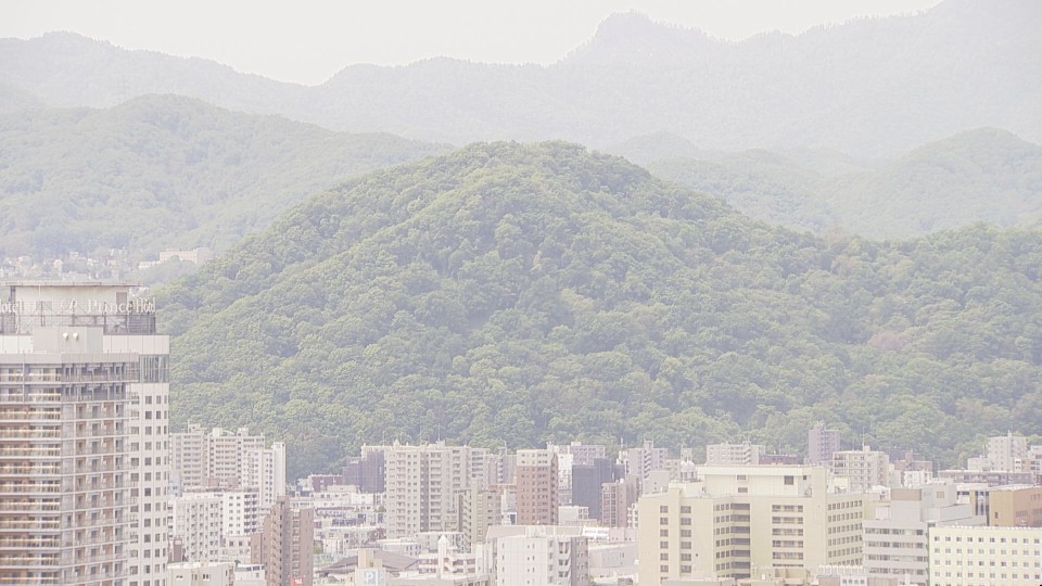 標高225mの円山(29日・札幌市中央区)