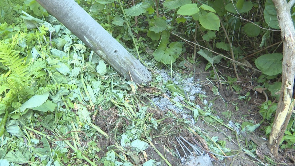 小学生の送迎車が電柱に衝突(22日 北海道八雲町)