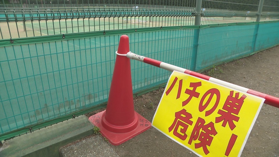 17人がハチに刺されたテニスコート(20日 北海道芽室町)