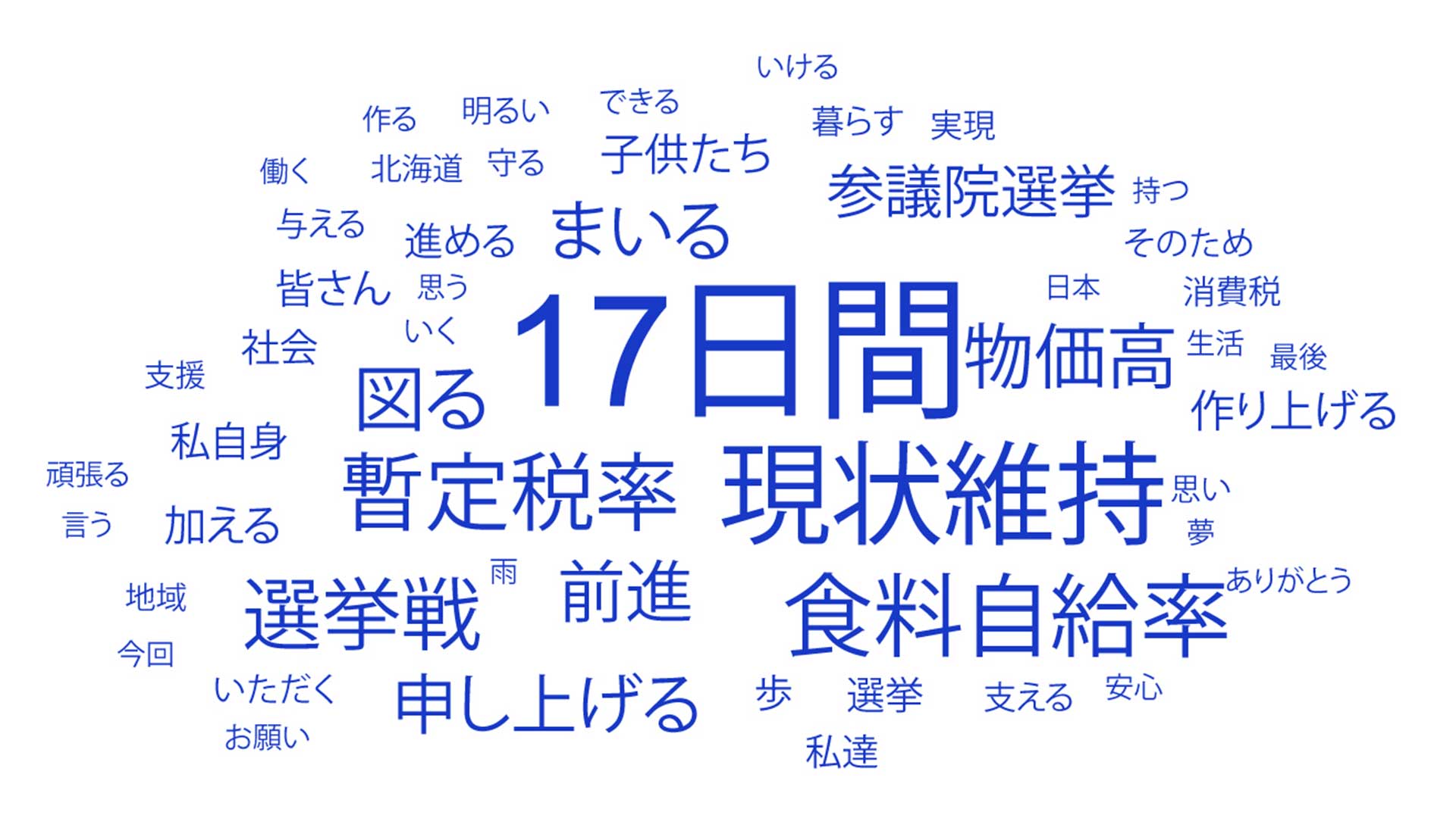 多く使われた言葉は「17日間」「現状維持」「食料自給率」「暫定税率」「選挙戦」など