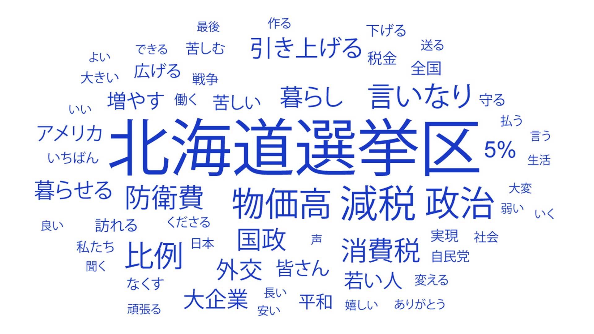 多く使われた言葉は「北海道選挙区」「減税」「政治」「物価高」「言いなり」など