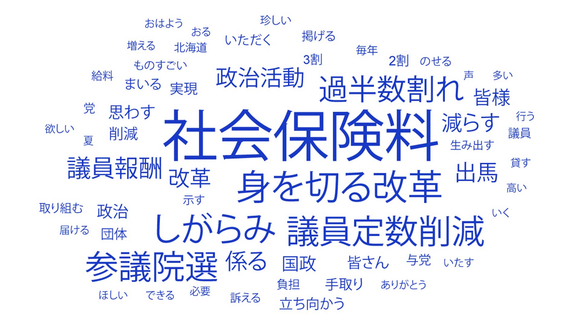 多く使われた言葉は「社会保険料」「身を切る改革」「しがらみ」「議員定数削減」「参議院選」など