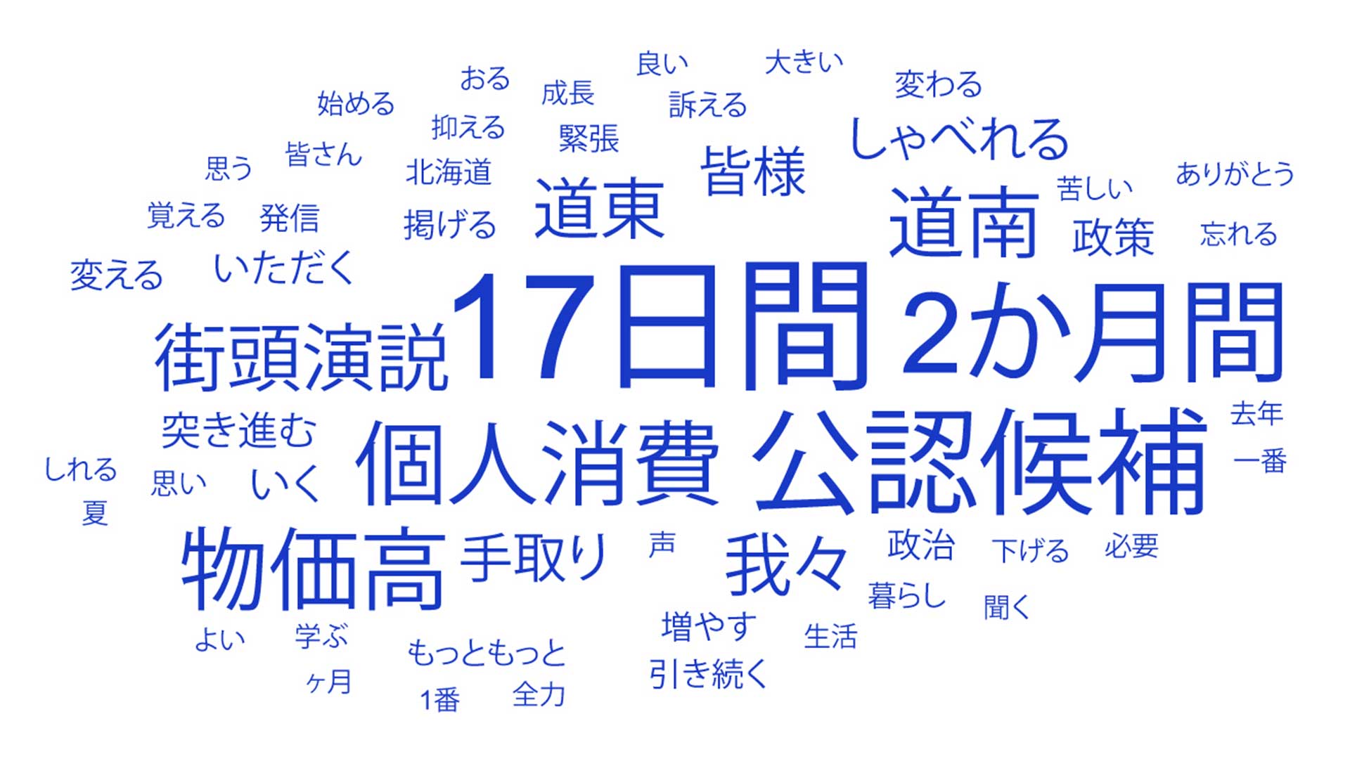 多く使われた言葉は「17日間」「公認候補」「2か月間」「個人消費」「物価高」など