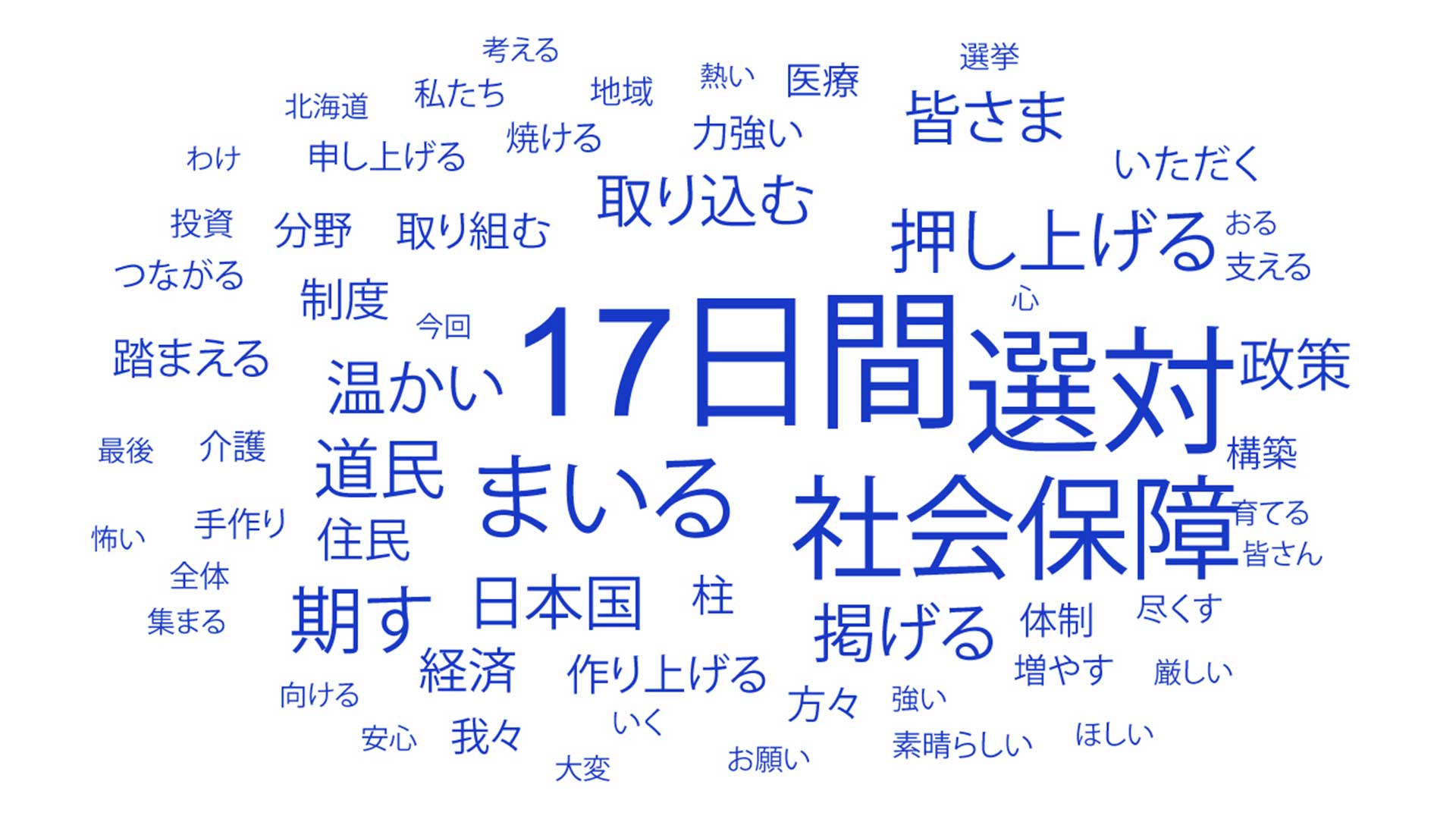 多く使われた言葉は「17日寛」「選対」「社会保障」「まいる」「押し上げる」など