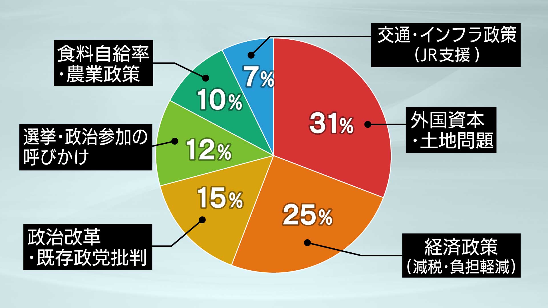 外国資本・土地問題31％、経済政策（減税・負担軽減）25％、政治改革・既存政党批判15％、選挙・政治参加の呼びかけ12％、食料自給率・農業政策10％、交通・インフラ政策（JR支援）7％