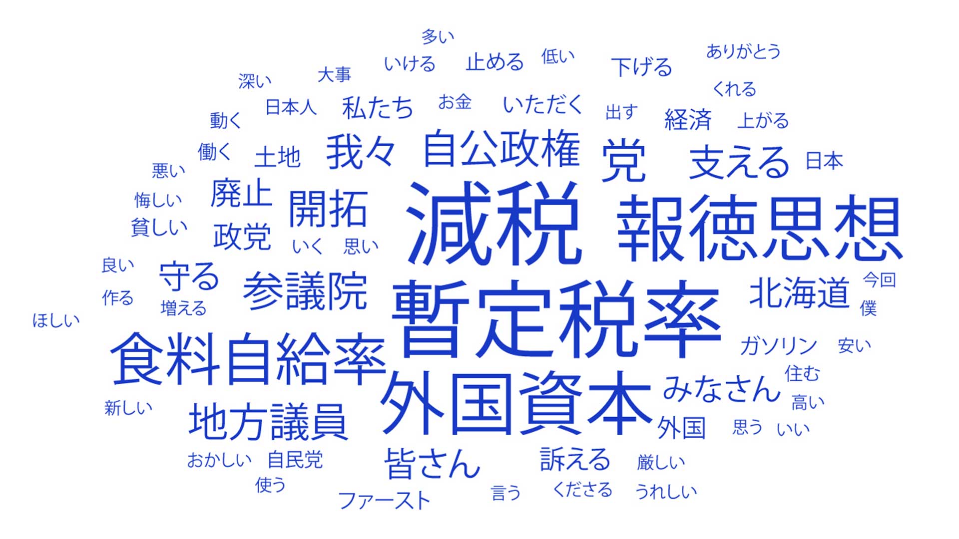 多く使われた言葉は「減税」「暫定税率」「外国資本」「報徳思想」「食料自給率」など