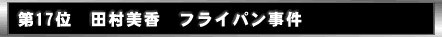 ��17�ʁ@�c�������@�t���C�p������