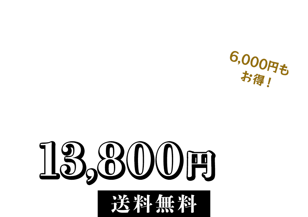 通常価格19,800円(税込)→今なら超早割特価で13,800円(税込) / 送料無料