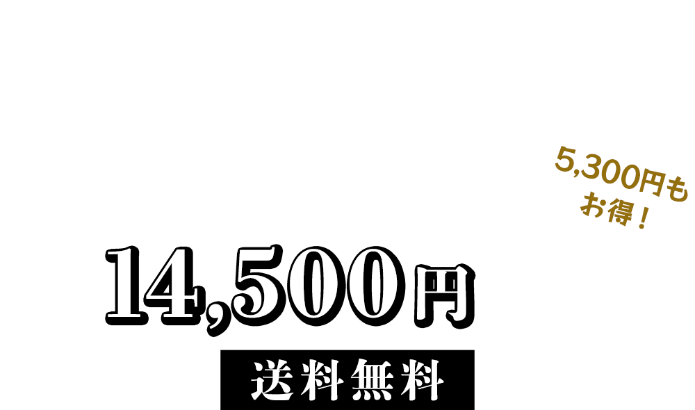 通常価格19,800円(税込)→今なら早割で14,500円(税込) / 送料無料