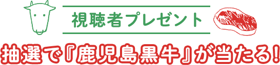 視聴者プレゼント