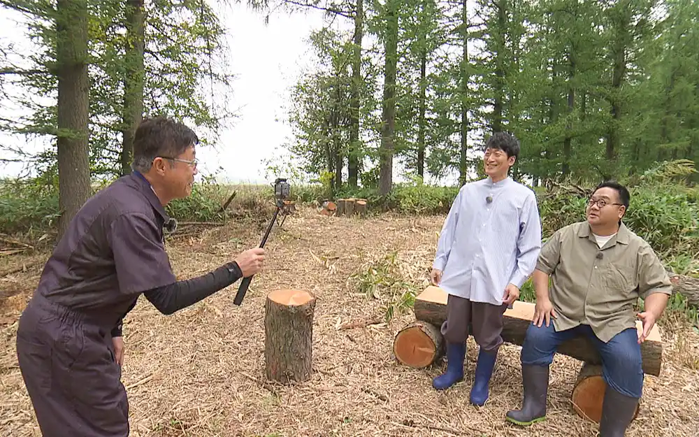 防風林の再生現場で何を思う？（写真）