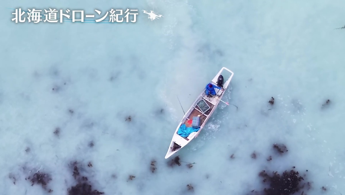配信サムネイル