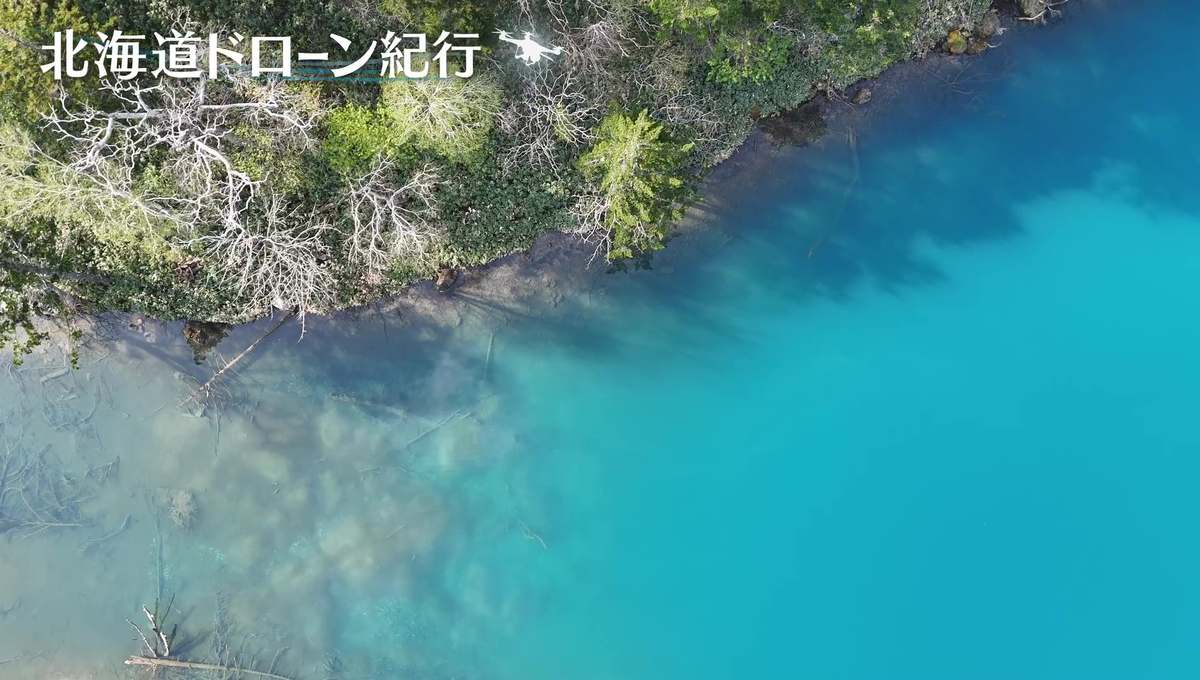 配信サムネイル