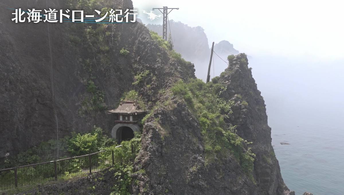 配信サムネイル