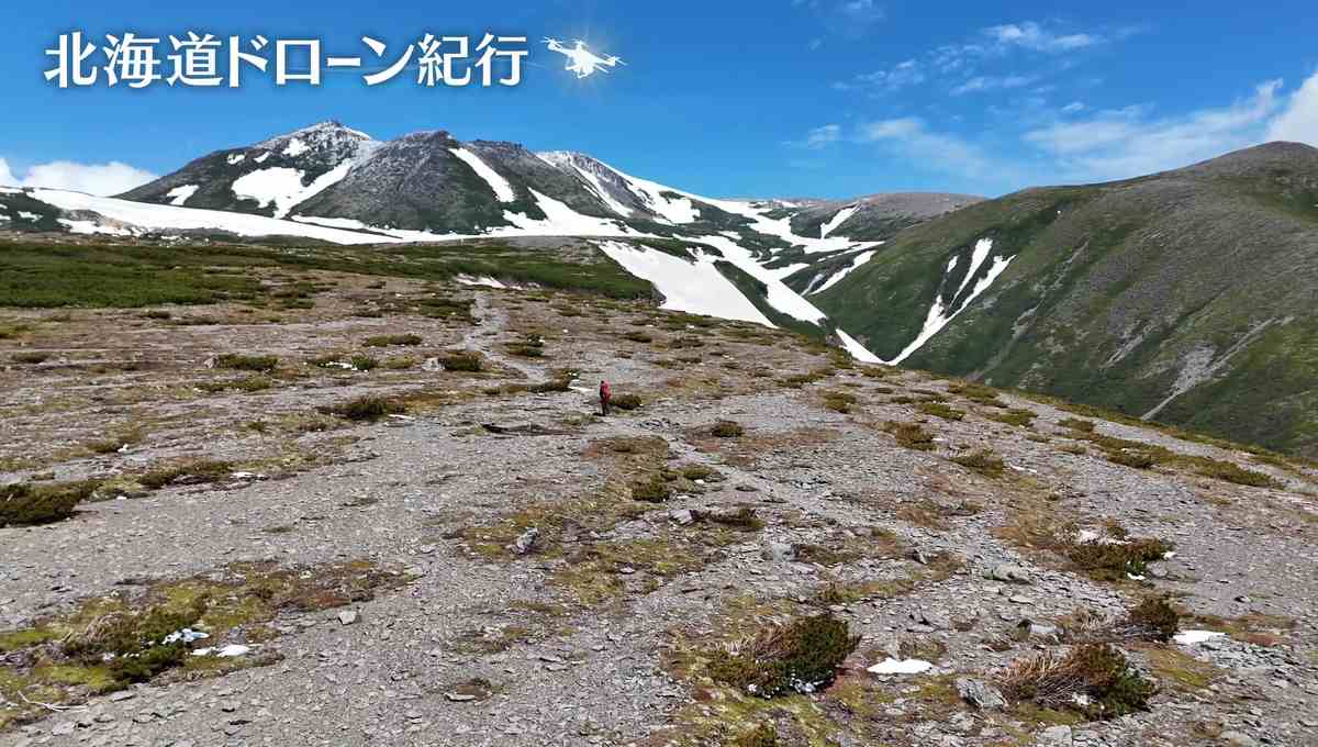 配信サムネイル