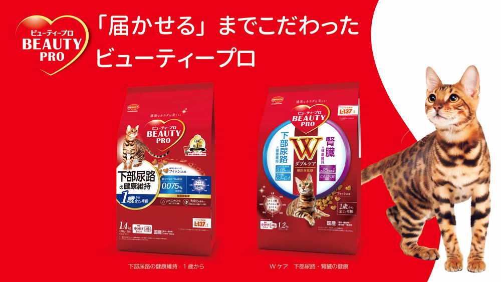 ビューティープロ　イメージ画像