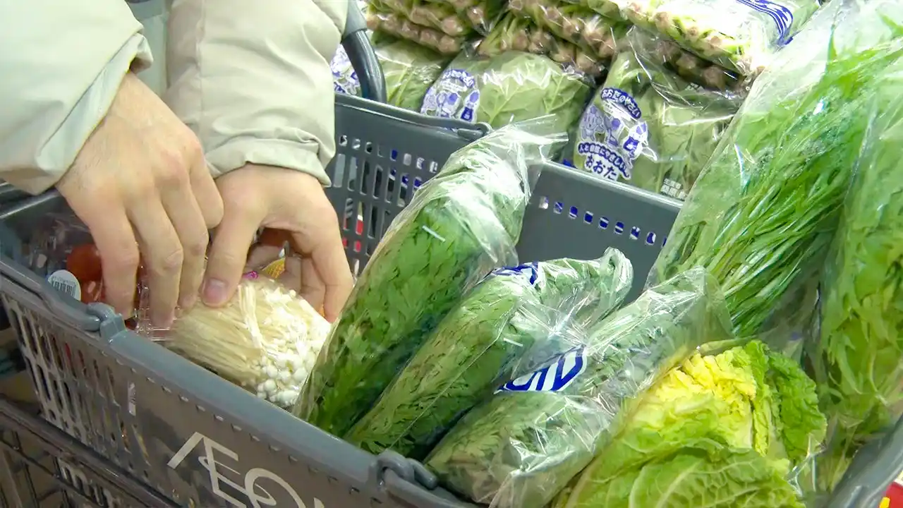 武田望斗さんの写真2