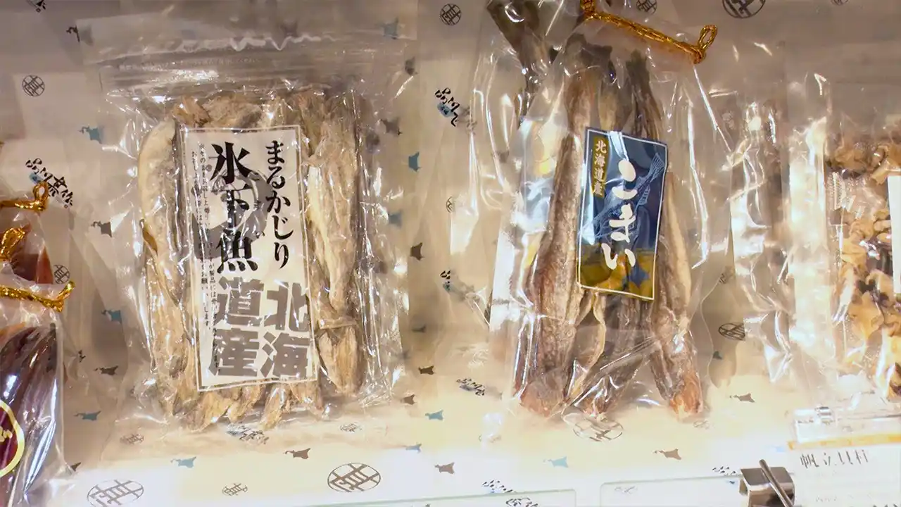 鈴木賢仁さんの写真5