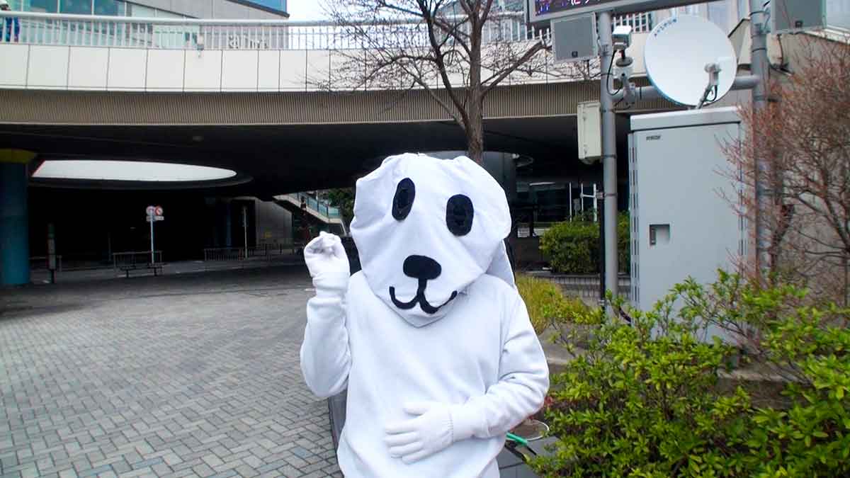 毛並みんさんの写真