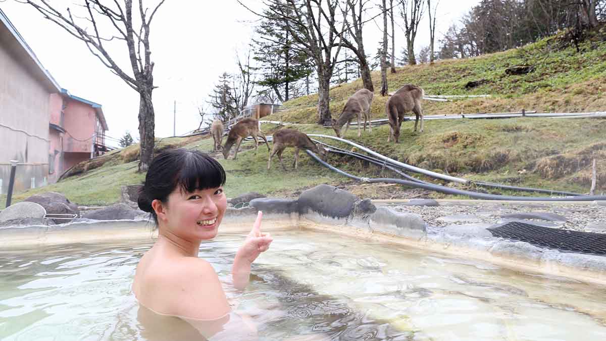 しずかちゃんの混浴めぐりの写真