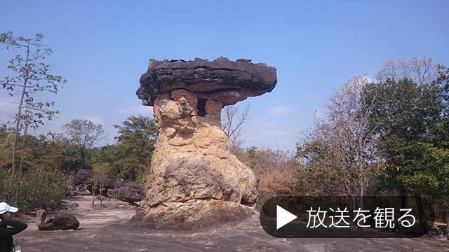 2回目放送を見る