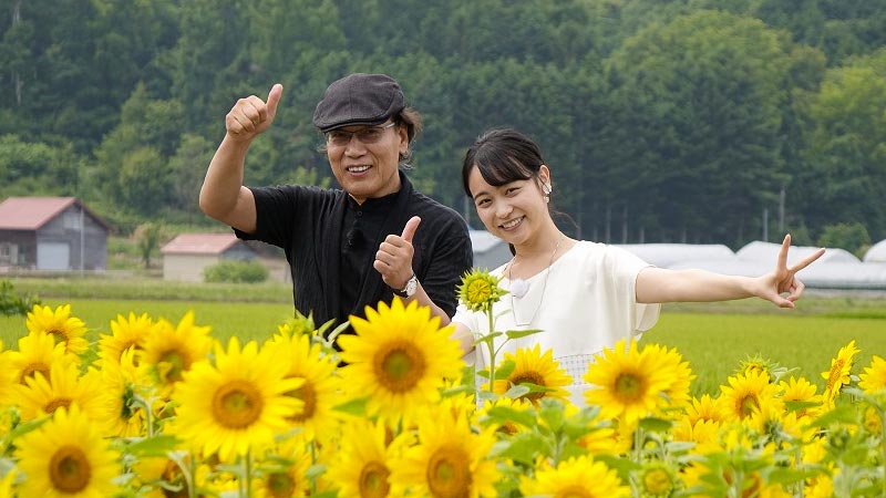 ひまわりに囲まれて…(写真)
