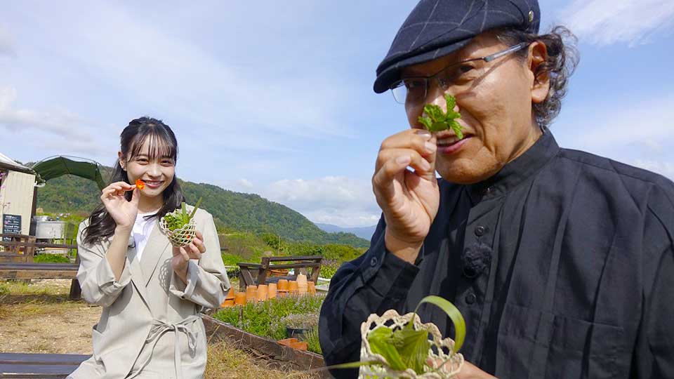 ハーブ畑にて(写真)