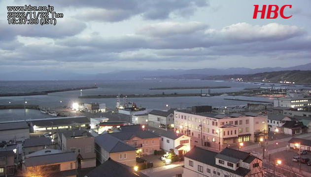 Веб-камера Эсаси